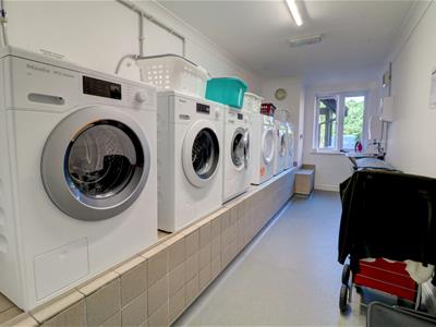 Picture 8